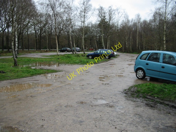 Photo 6"x4" Clowes Wood car park Radfall c2008