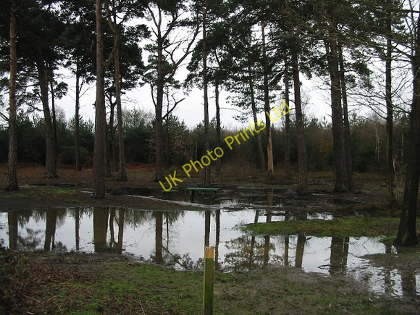 Photo 6"x4" A rather sodden picnic area under the trees Radfall c2008