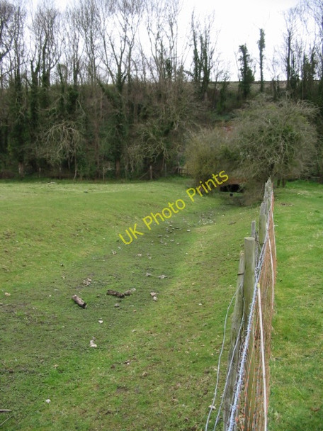 Photo 6"x4" The 'river' Nailbourne Bekesbourne c2008