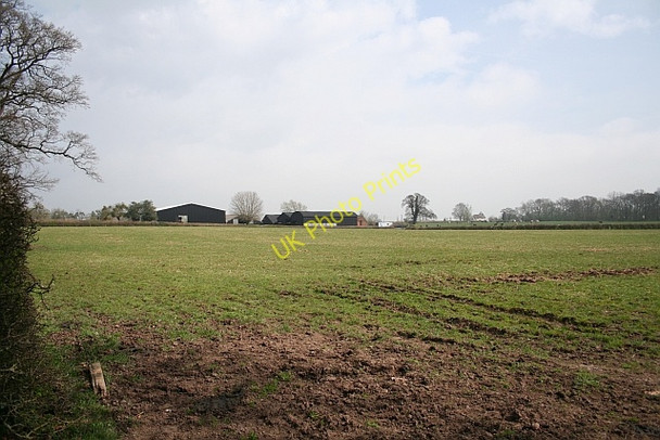 Photo 6"x4" Pasture and Cowhills Farm Duckswich c2008