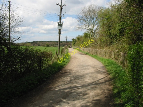 Photo 6"x4" View along Chapel Lane near Blean Blean c2008