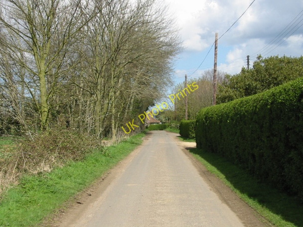 Photo 6"x4" Looking NE along Chapel Lane, Blean Blean c2008