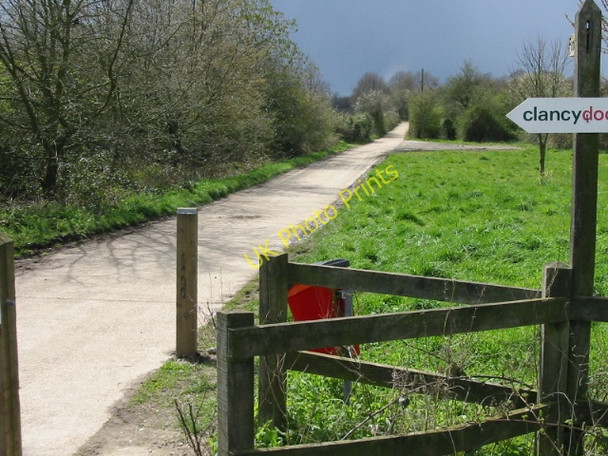 Photo 6"x4" View along footpath towards Blean Woods and nature reserve Blean c2008