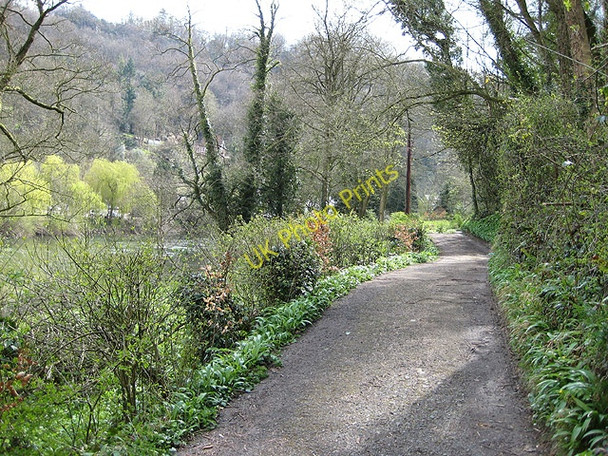 Photo 6"x4" Byway, Symonds Yat West Great Doward c2008