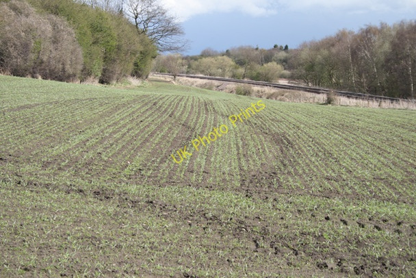 Photo 6"x4" Field between Nottingham Canal and Railway Stapleford\/SK5037 c2008
