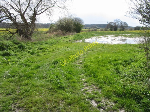 Photo 6"x4" Field entrance off Denstroude Lane Denstroude c2008