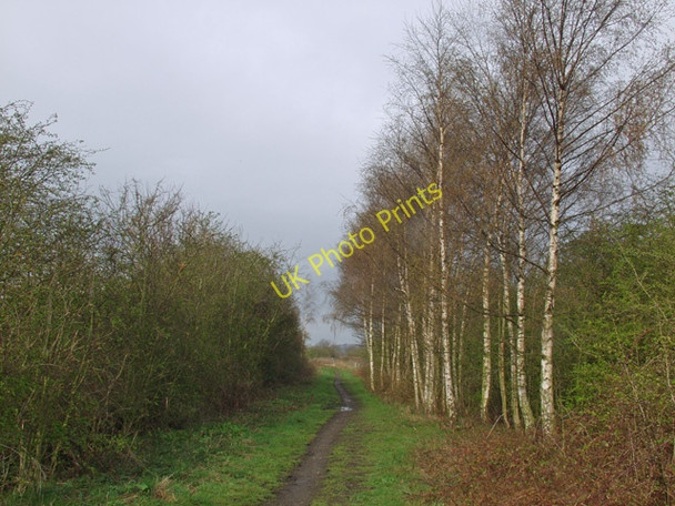 Photo 6"x4" The Hudson Way, near Gardham Gardham c2008