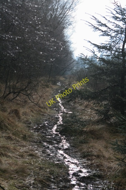 Photo 6"x4" Footpath on Leaf Howe Stape c2008