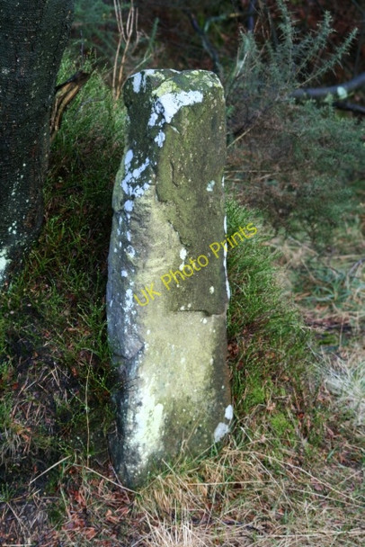 Photo 6"x4" Stone Gate Post on Leaf Howe Stape c2008