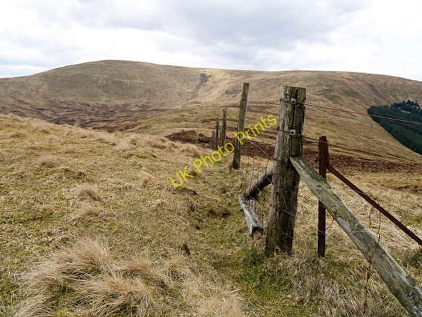 Photo 6"x4" Fence, Mitchell Hill Phawhope Kips c2008