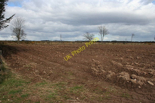 Photo 6"x4" Cairncortie Wood Bonnington Smiddy c2008
