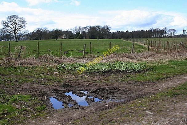 Photo 6"x4" Fields at the Guynd Bonnington Smiddy c2008