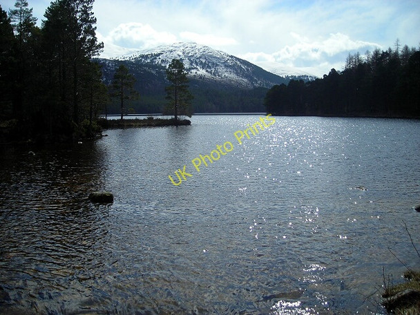 Photo 6"x4" Loch an Eilein Doune\/NH8809 c2008