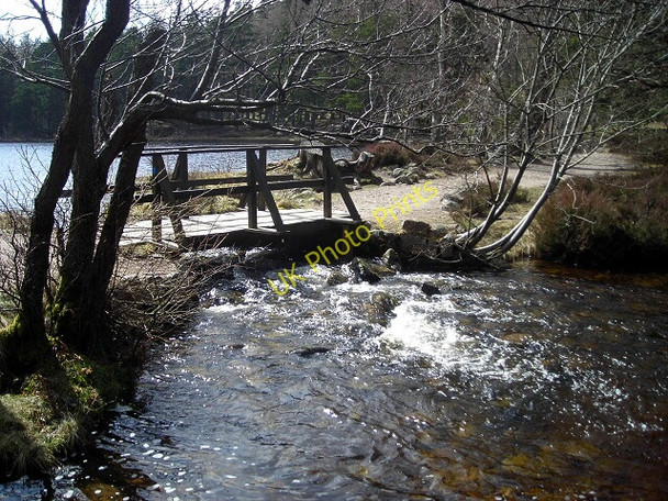 Photo 6"x4" Footbridge over Milton Burn Doune\/NH8809 c2008
