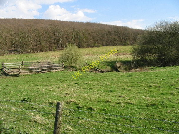 Photo 6"x4" Fields and Blean Wood Dargate Common c2008