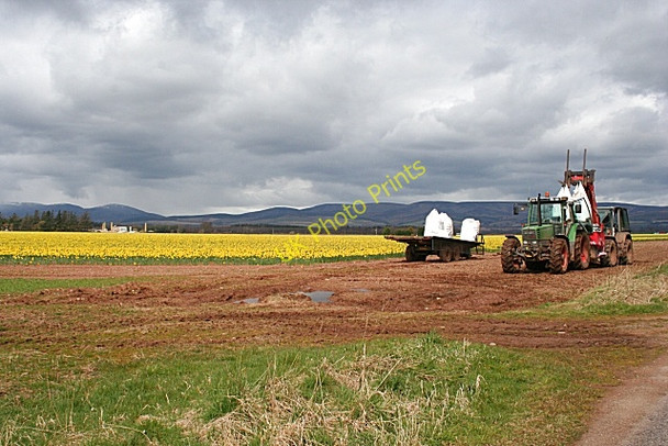 Photo 6"x4" Bulb Field by Wakefield House West Burnside\/NO7070 c2008