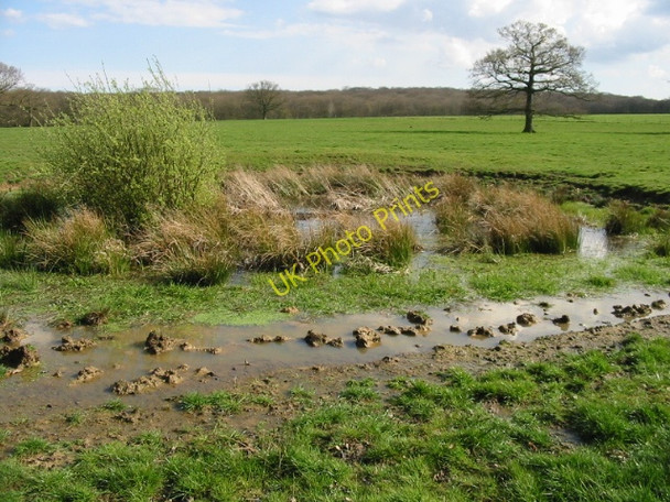 Photo 6"x4" Small pond in field next to Courtenay Road Dargate Common c2008