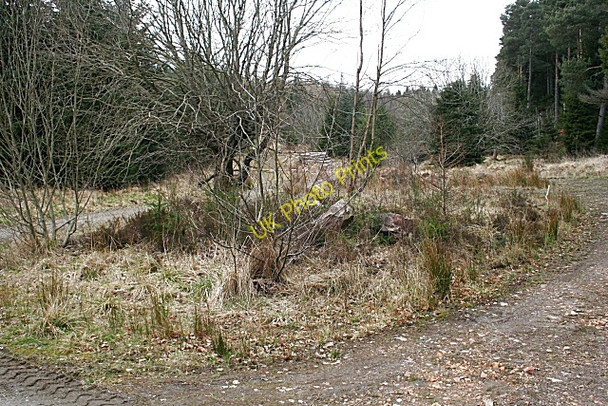 Photo 6"x4" Bin Moss Huntly c2008