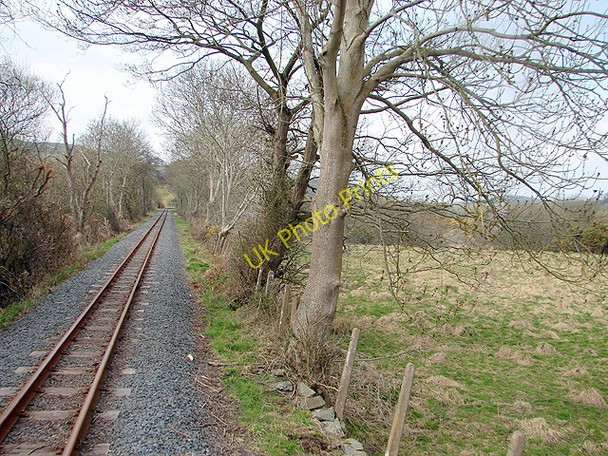 Photo 6"x4" Dyffryn Rheidol Glanrafon\/SN6180 c2008