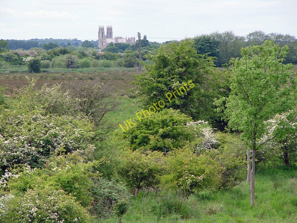Photo 6"x4" Figham, near Beverley Beverley c2005