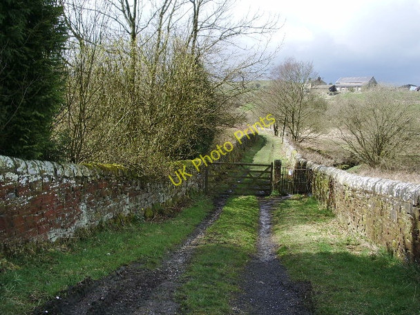 Photo 6"x4" Footpath and track to Lee Green Reservoir Cockden c2008