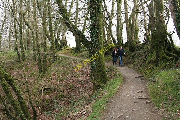 Photo 6"x4" Lydford: above Lydford Gorge 3 Lydford c2008