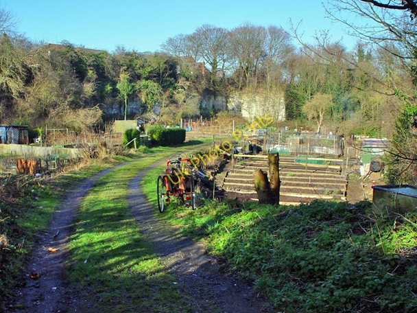 Photo 6"x4" Ferriby Road Allotments Hessle\/TA0326 c2008