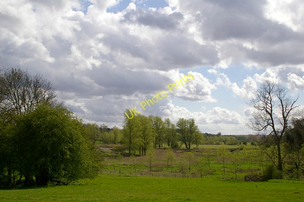Photo 6"x4" Colne Valley, Munden Watford\/TQ1097 c2008