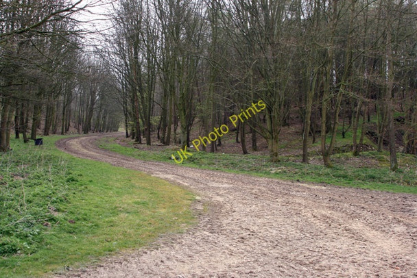 Photo 6"x4" The track through the woods to Painslack Farm Huggate c2008