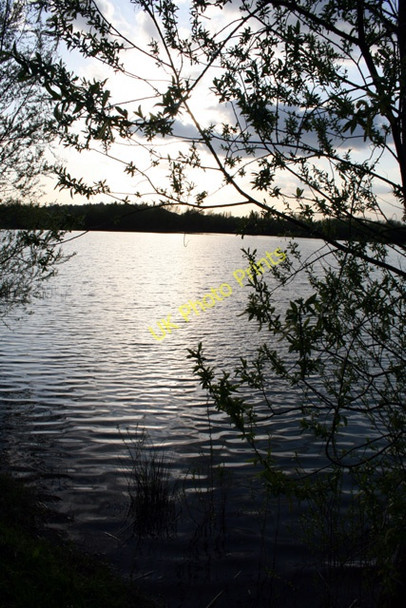 Photo 6"x4" Willow Edged Gravel Pit (3) Chertsey c2008