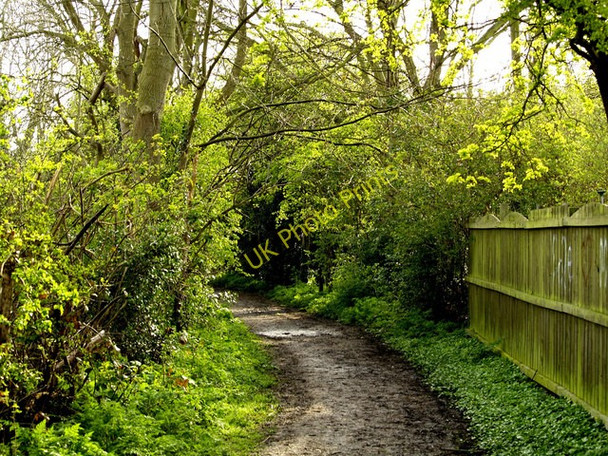 Photo 6"x4" Love Lane Bridleway, Hedon Hedon c2008