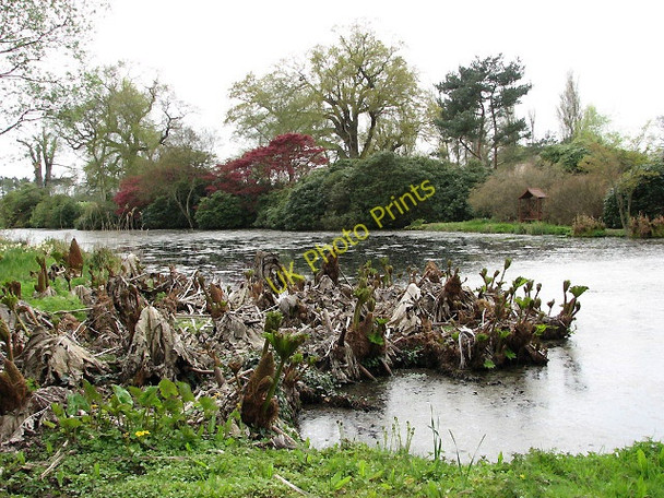 Photo 6"x4" View across the lake Ashmanhaugh c2008