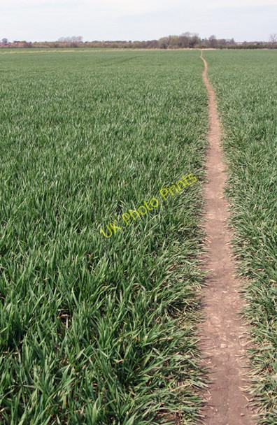 Photo 6"x4" The Beverley 20 footpath Woodmansey c2008
