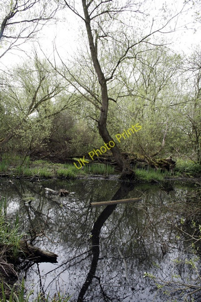 Photo 6"x4" Pond in Fox Covert Long Eaton c2008