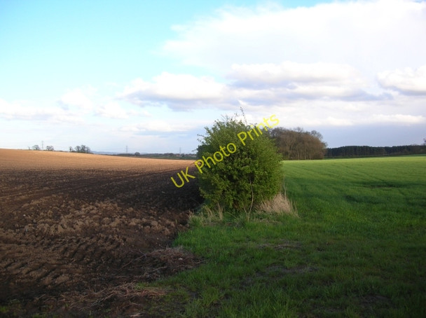 Photo 6"x4" Field boundary Bossall c2008