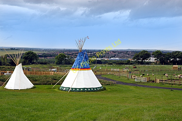 Photo 6"x4" Down at the Farm - Near Houghton-le-Spring Houghton-Le-Spring c2007