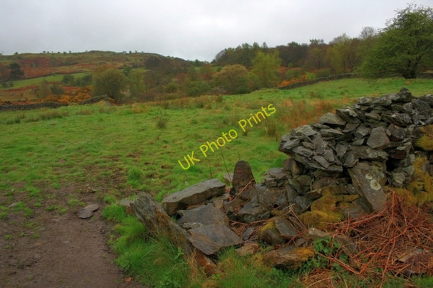 Photo 6"x4" Ruined Wall, Mungeon Farm Seatle c2008