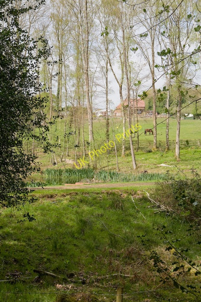 Photo 6"x4" New pond south of Cartref Cottage, Stoney Cross Stoney Cross c2008