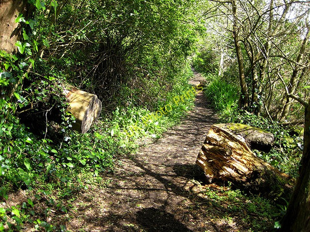 Photo 6"x4" Passing through Kemyel Crease Nature Reserve Raginnis c2008