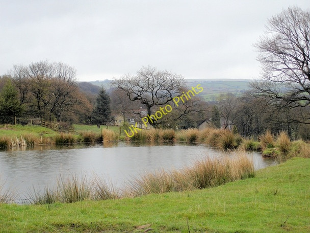 Photo 6"x4" Pond at Mill Brow, Marple Marple c2008