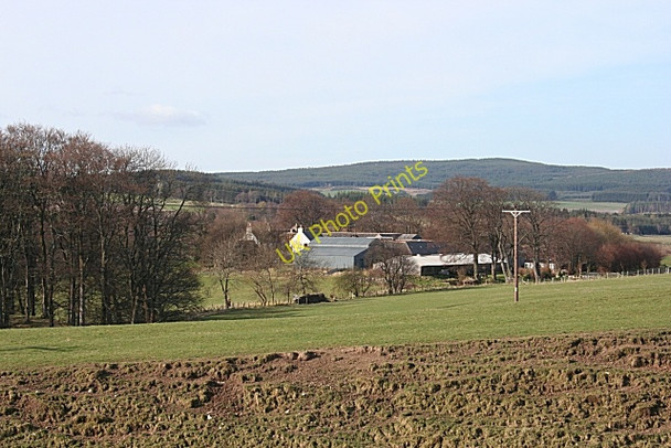 Photo 6"x4" Haughs Farm Keith c2008