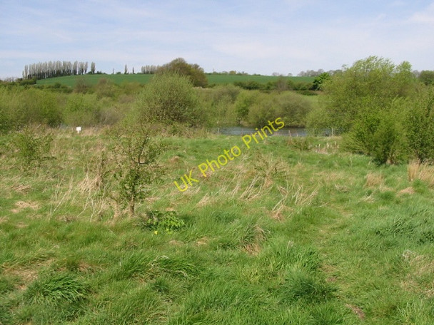 Photo 6"x4" Looking N from the Stour Valley Walk just outside Chartham Horton\/TR1155 c2008