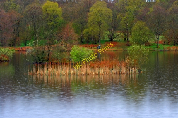 Photo 6"x4" Island in the Rain Seatle c2008