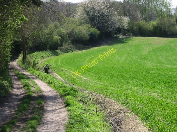 Photo 6"x4" Route of the Stour Valley Walk, looking SW Shalmsford Street c2008