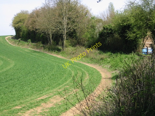 Photo 6"x4" Looking NE along Old Wye Lane Shalmsford Street c2008