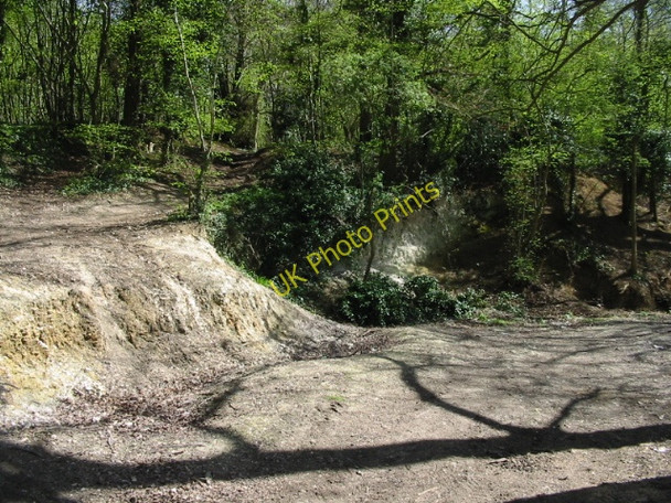 Photo 6"x4" Long Wood from the Old Wye Lane Bagham c2008