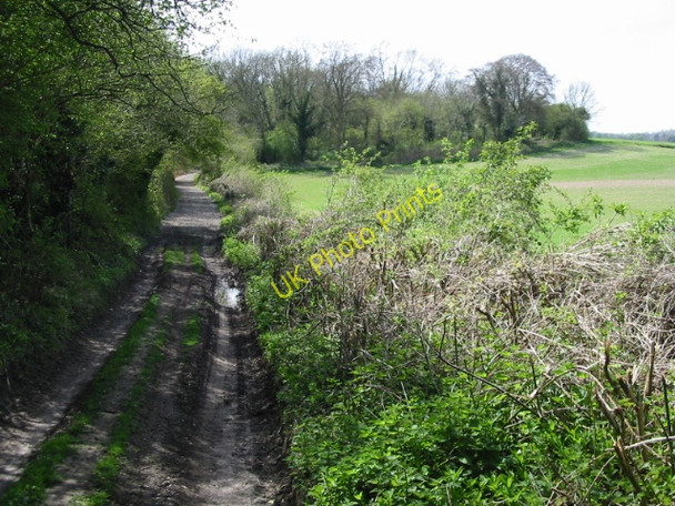 Photo 6"x4" Footpath and bridleway, part of the Stour Valley Walk Bagham c2008