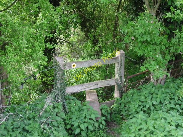 Photo 6"x4" Stile on the Stour Valley Walk Bagham c2008
