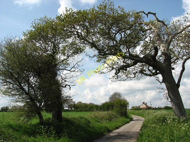 Photo 6"x4" Approaching Edingthorpe from the east Edingthorpe c2008