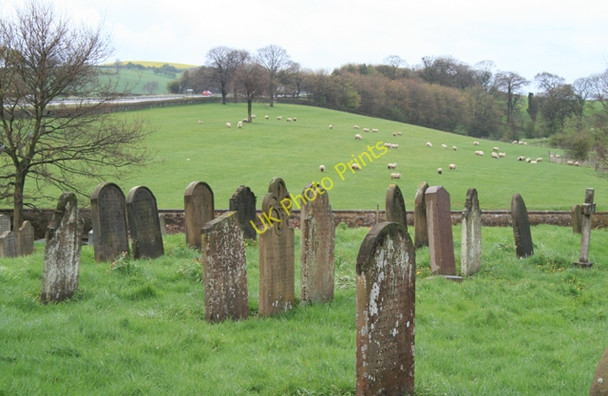 Photo 6"x4" Gravestones and Sheep Leake\/SE4390 c2008